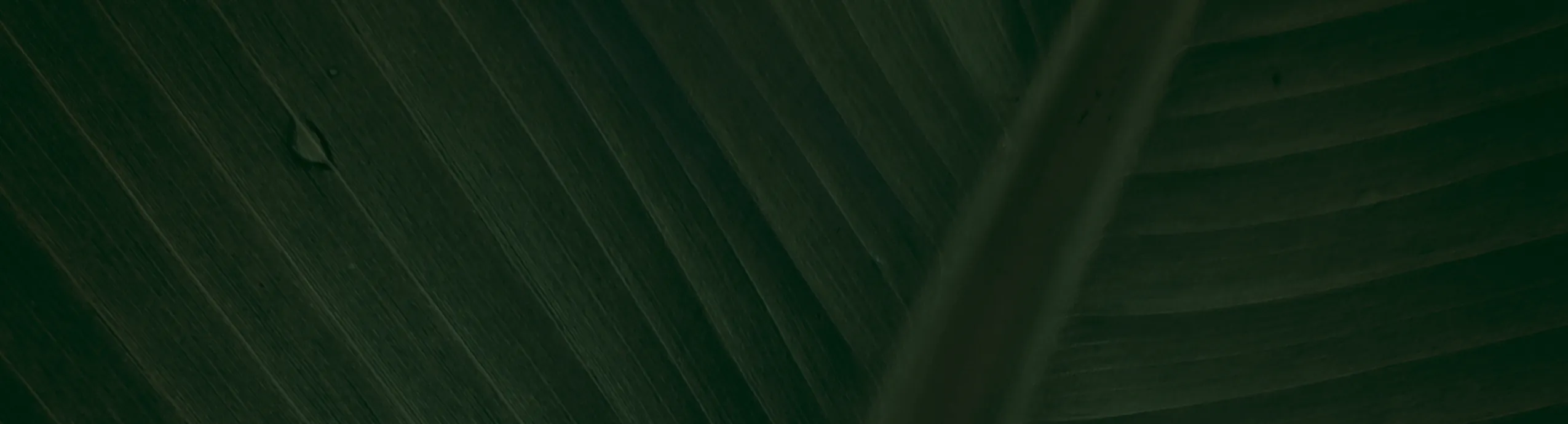 Athijeevana Padangal